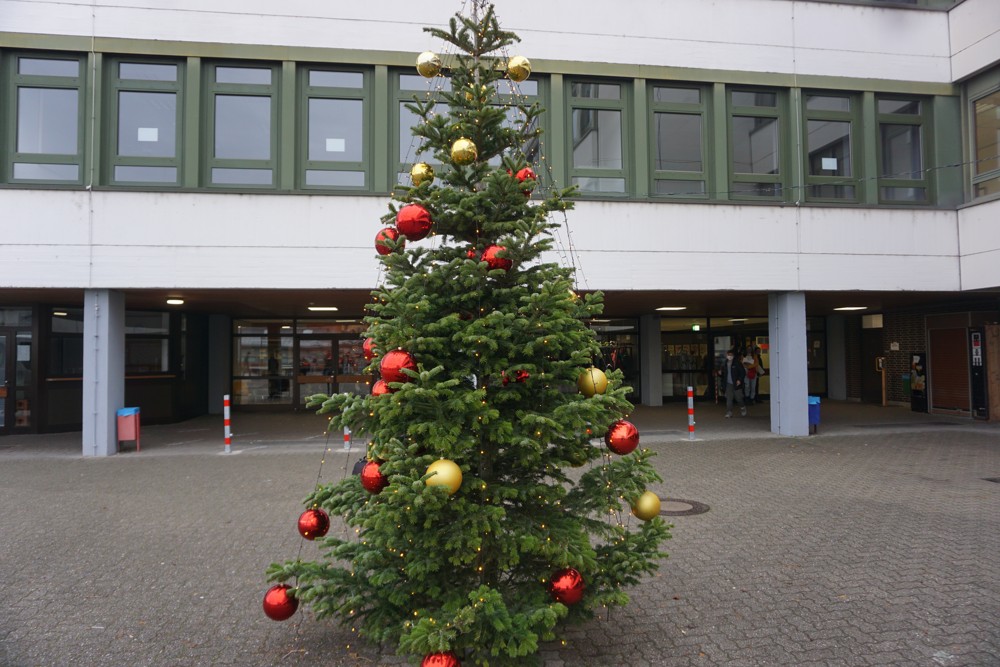 Digitaler Adventskalender – Endlich Weihnachten!  – Türchen 24